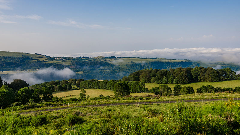 Location salle évenementielle dans l'Aubrac