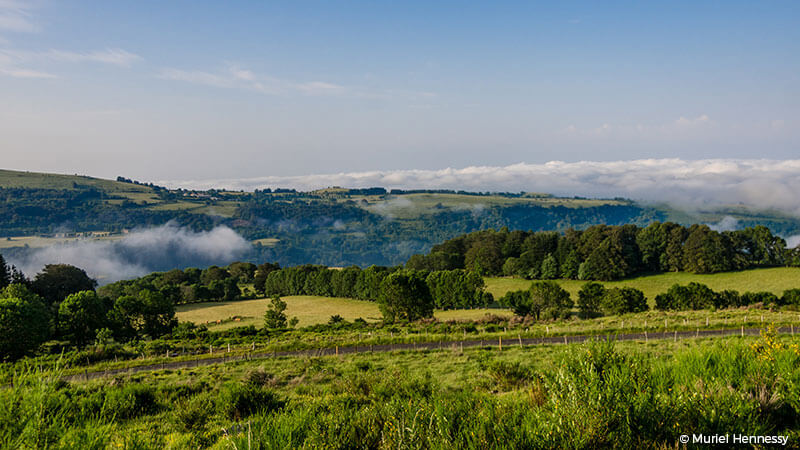 Le plateau de l'Aubrac