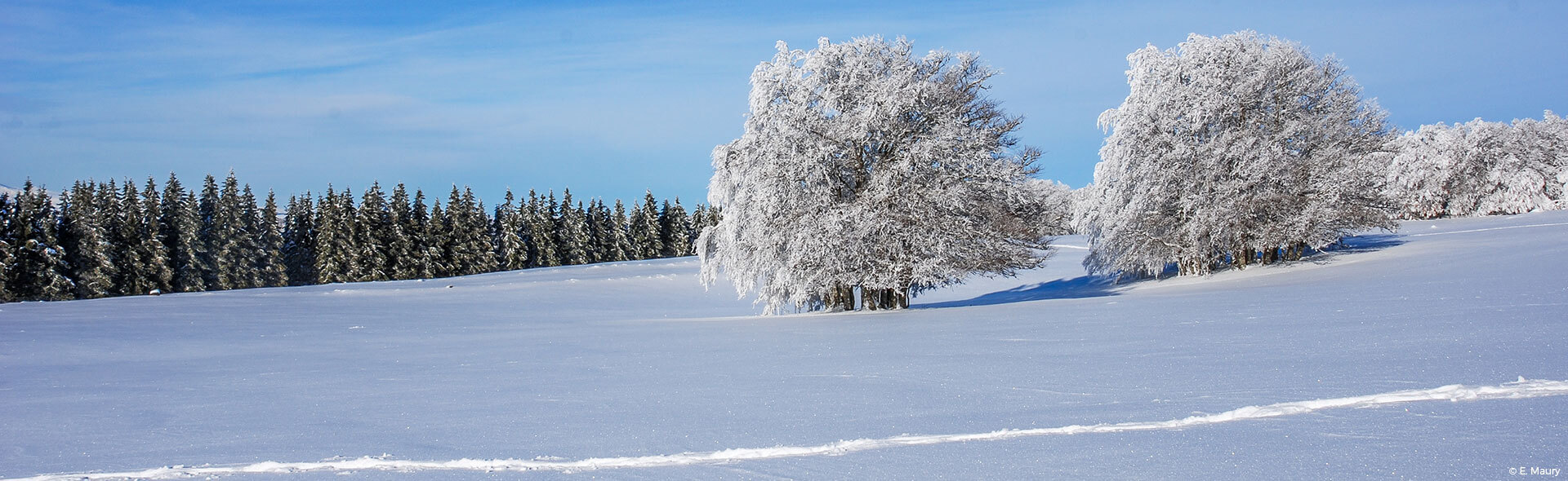 Le plateau de l'Aubrac en hiver